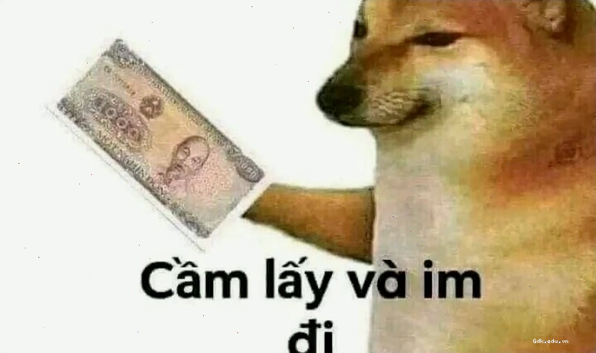 Chú mèo với ánh mắt 