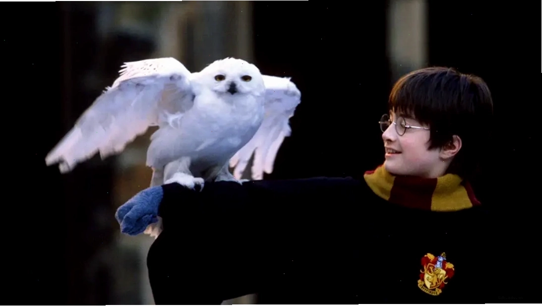 Harry Potter và Thám Tử Conan trong tranh vẽ phong cách anime của Gosho Aoyama