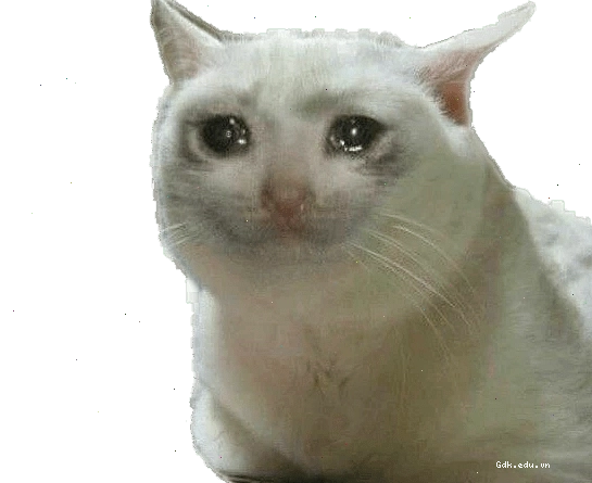 Hình ảnh meme mèo khóc biểu cảm
