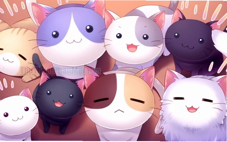 Hình ảnh mèo chibi mập mạp đáng yêu