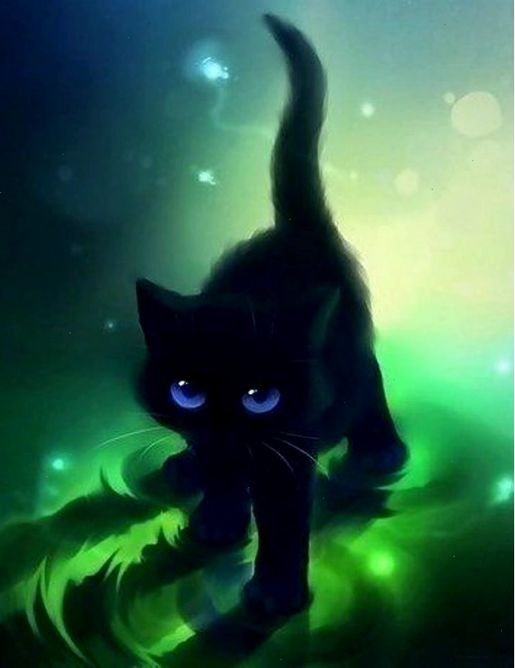 Hình ảnh mèo đen anime đáng yêu