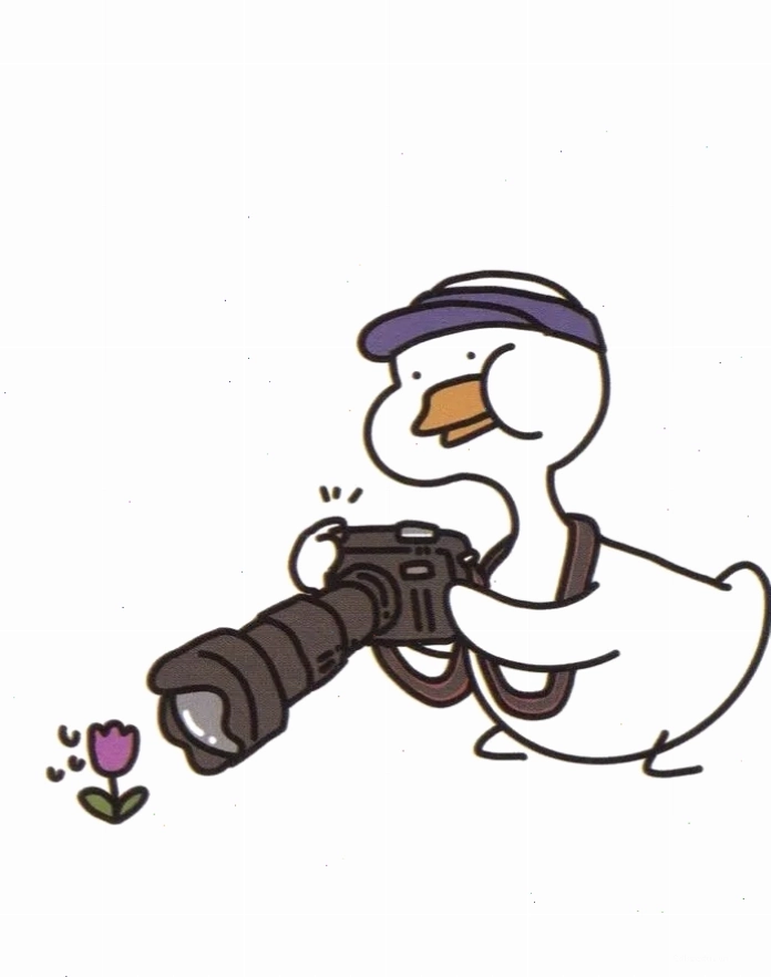 Hình ảnh vịt cute chibi phong cách ngầu