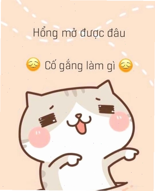 Hình nền bỏ điện thoại tao xuống cho người dùng iPhone