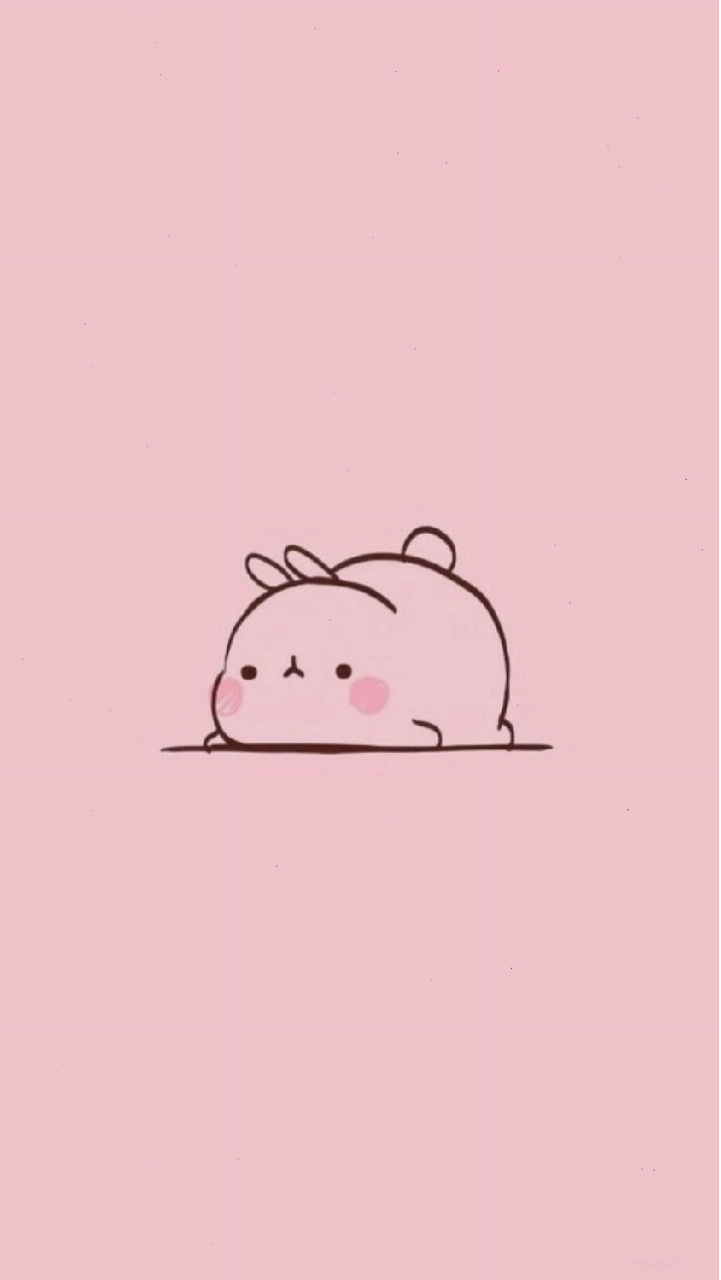 Hình nền cute phô mai que