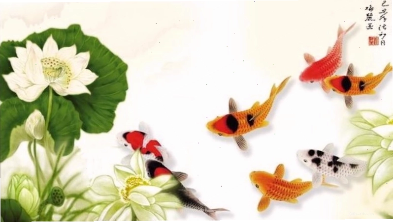 Hình nền điện thoại cá chép hóa rồng mạnh mẽ