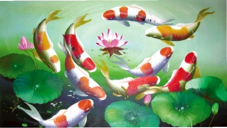 Hình nền điện thoại cá chép hóa rồng trong môi trường nước