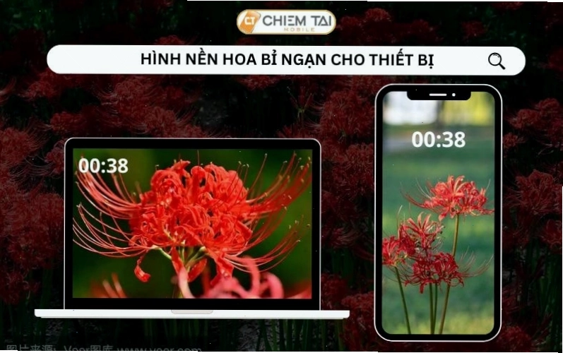 Hình nền hoa bỉ ngạn anime với tông màu đỏ rực, biểu tượng của sự chia ly và hồi ức
