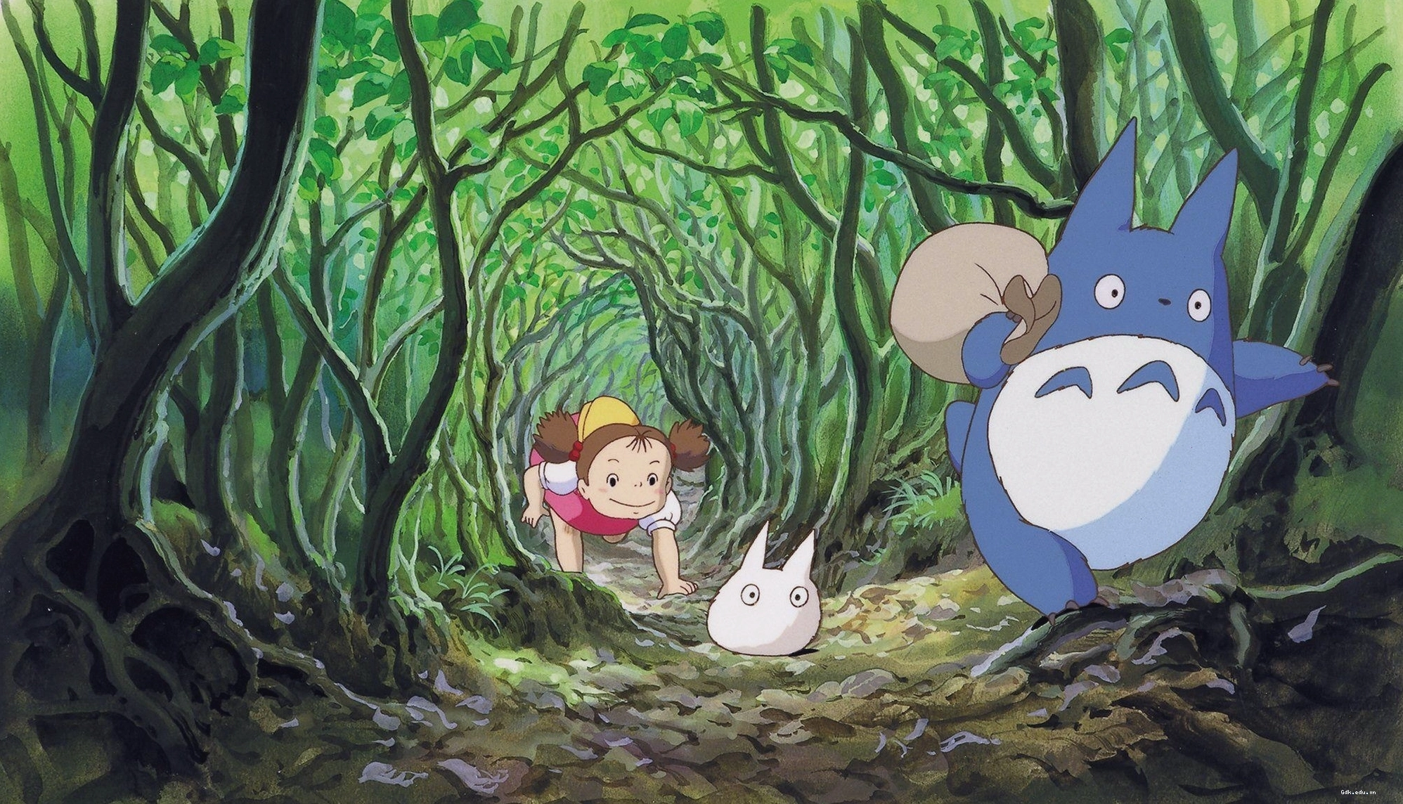 hình nền totoro