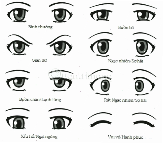 Mắt anime góc nghiêng với nhiều kiểu dáng khác nhau