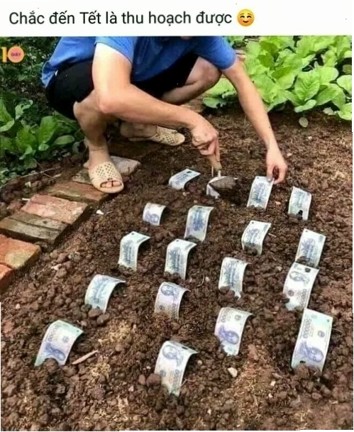 Meme 500k nụ cười pha mùi nợ nần