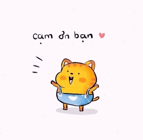 Meme cảm ơn giúp xoa dịu không khí và tạo sự gần gũi