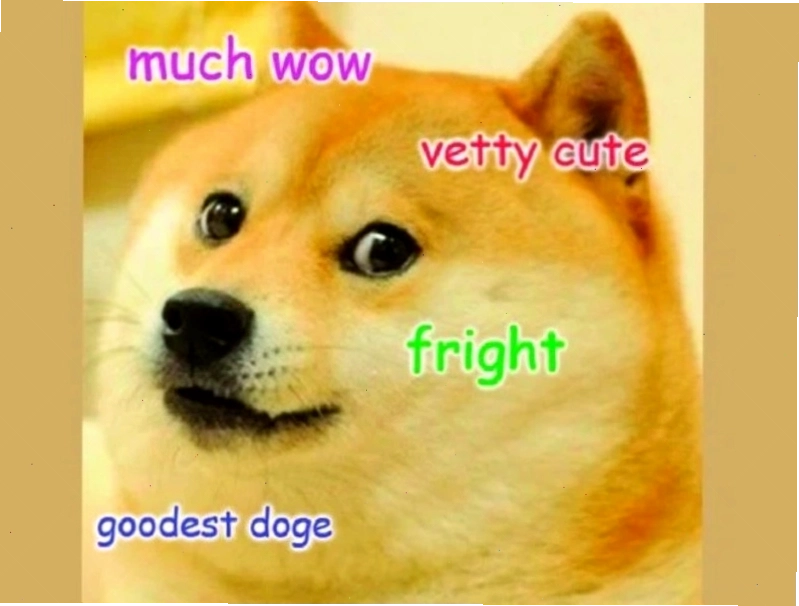Meme chó hài hước với biểu cảm độc đáo