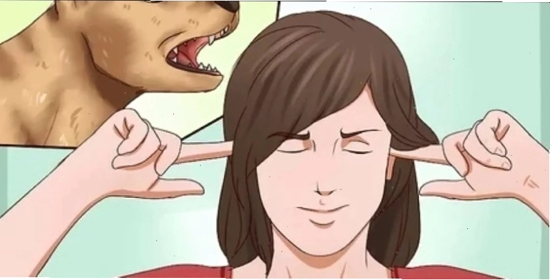 Meme chó sủa với biểu cảm hài hước