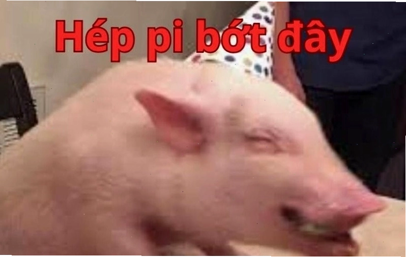 Meme chúc mừng sinh nhật hình con mèo đang đội mũ sinh nhật
