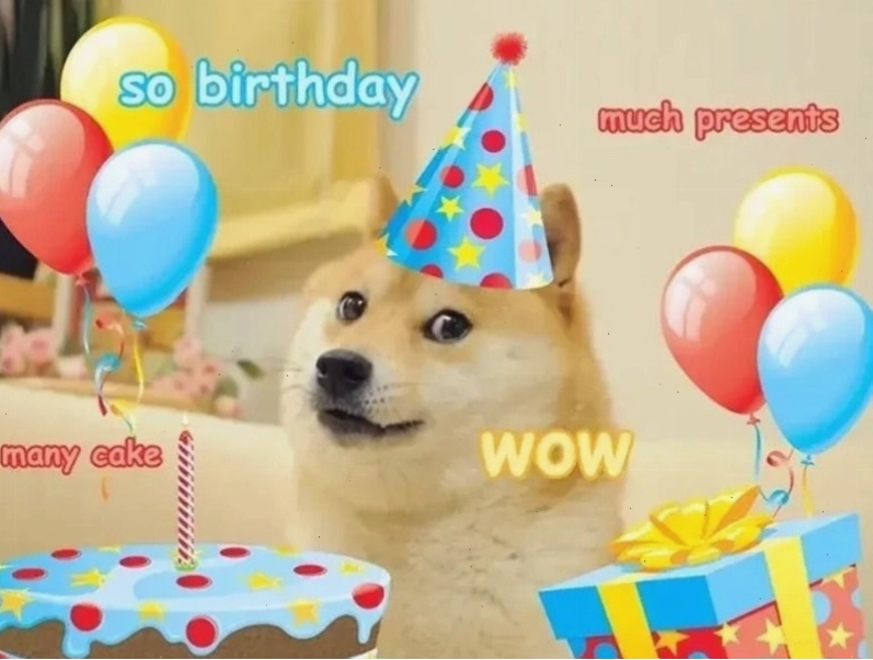 Meme chúc mừng sinh nhật hình động vật với biểu cảm khó đỡ
