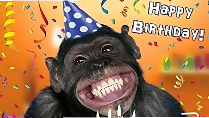 Meme chúc mừng sinh nhật với hình ảnh lãng mạn và lời chúc ngọt ngào