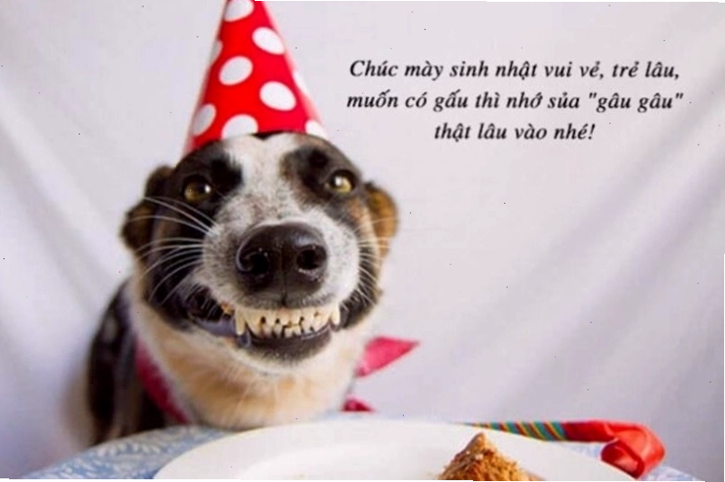 Meme chúc mừng sinh nhật với hình ảnh người lớn tuổi đang vui vẻ