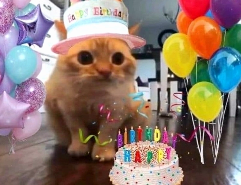 Meme chúc mừng sinh nhật vui nhộn với nhân vật hoạt hình