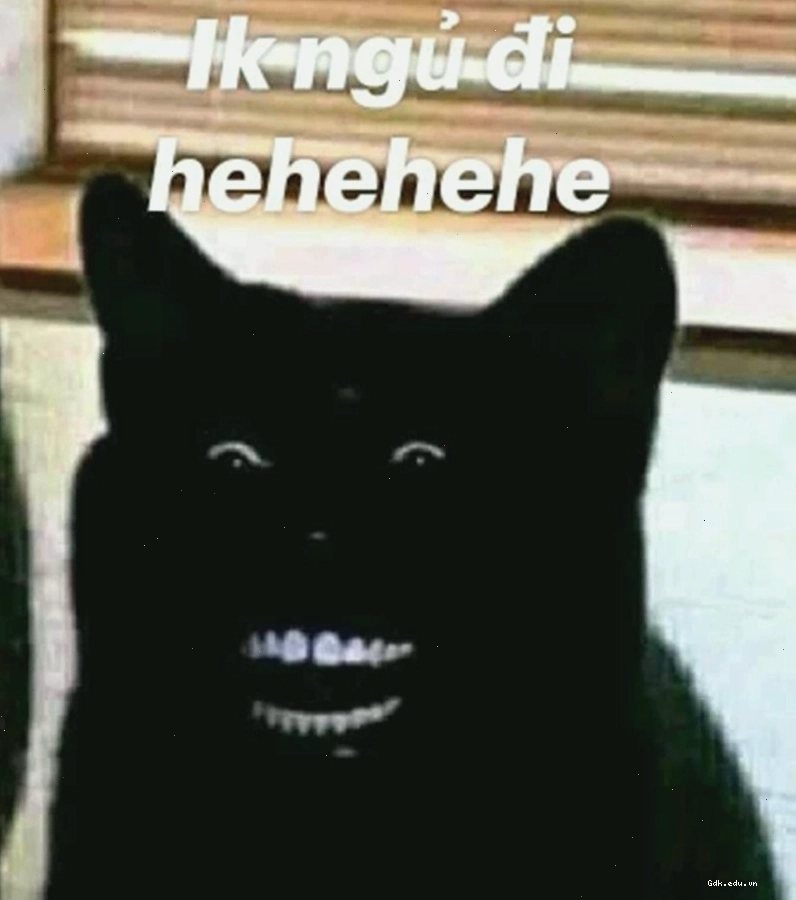 Meme chúc ngủ ngon hài hước