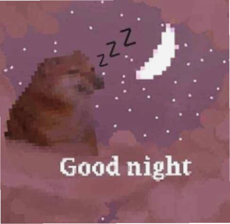 Meme dễ thương chúc ngủ ngon