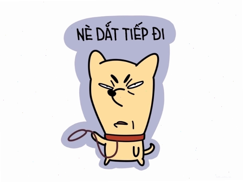 Meme dễ thương mèo thể hiện sự hài hước
