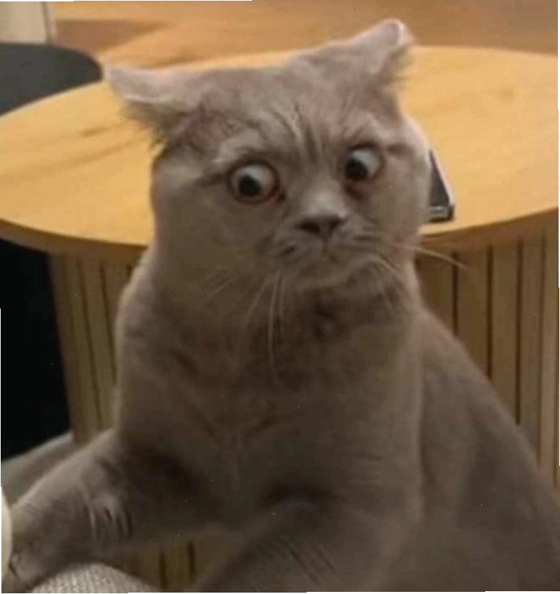 Meme động vật thể hiện sự ngạc nhiên.