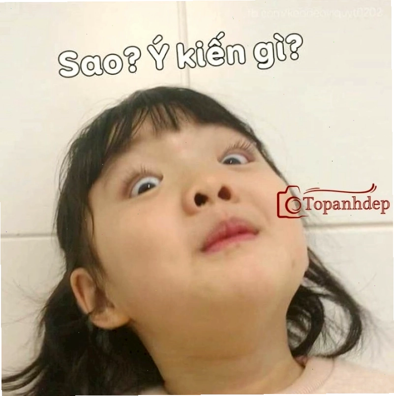 Meme em bé cute hài hước