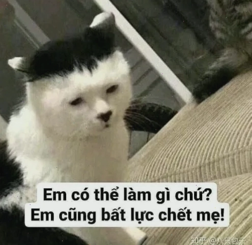 Meme gương mặt thất vọng cực rõ sau một chuyện không như ý