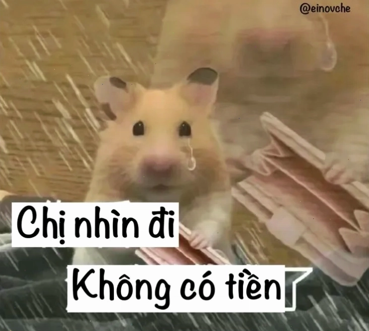 Meme hết tiền dễ thương