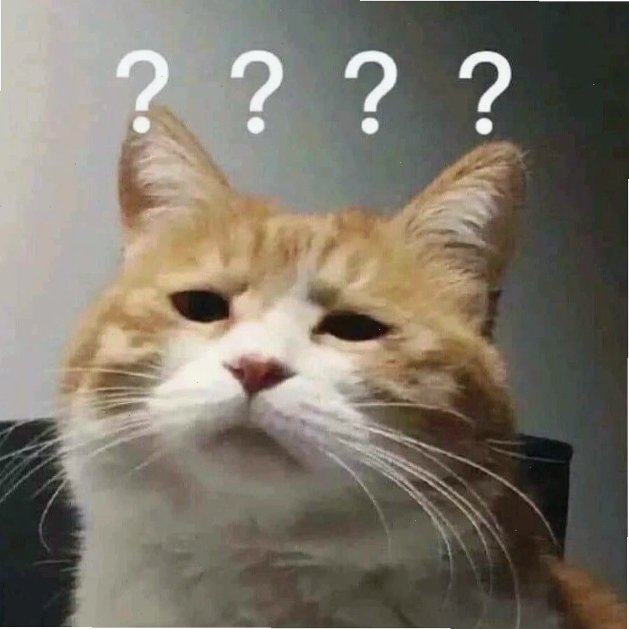 Meme mèo với dáng vẻ 