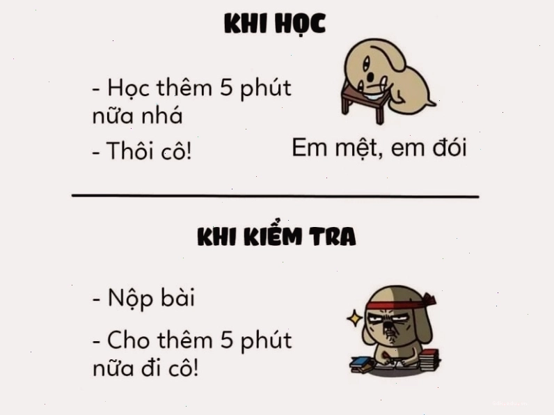 Meme so sánh 5 phút khi học và khi kiểm tra