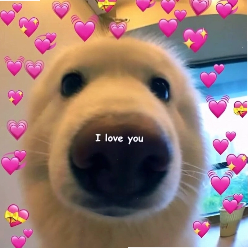 Meme tình yêu dễ thương em bé đang đòi quà