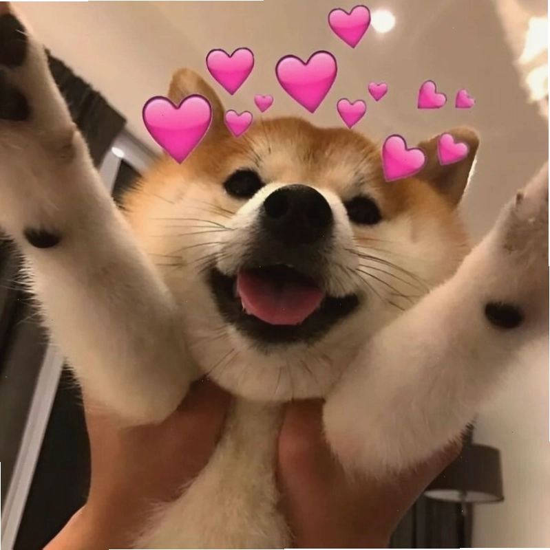 Meme tình yêu dễ thương hình mèo đang ôm