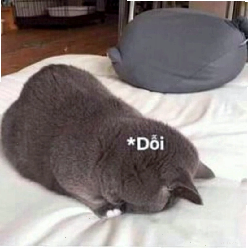 Meme tình yêu thể hiện sự quan tâm