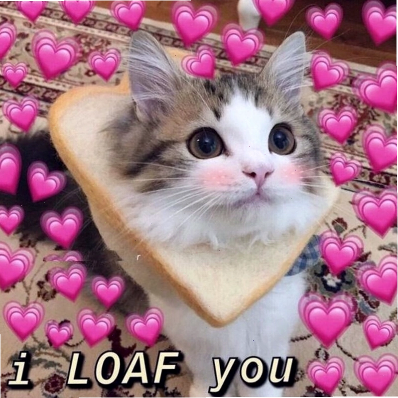 Meme tình yêu với hình ảnh em bé cười