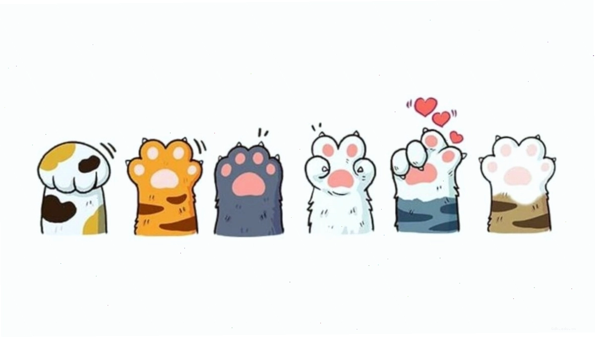 Mèo chibi đang lim dim ngủ