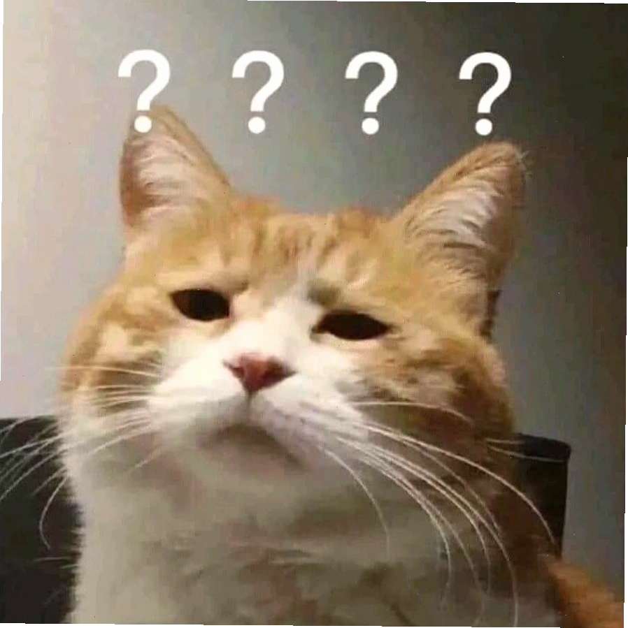 Mèo meme với biểu cảm 