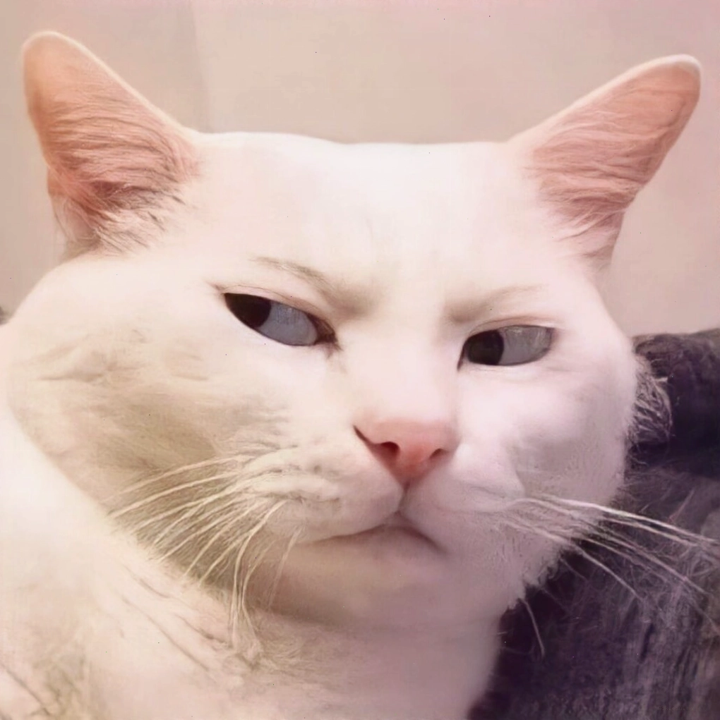 Mèo meme với biểu cảm 