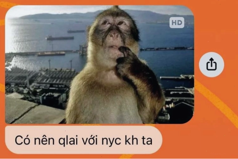 Minh họa cách mọi người sử dụng meme con khỉ trong giao tiếp trực tuyến