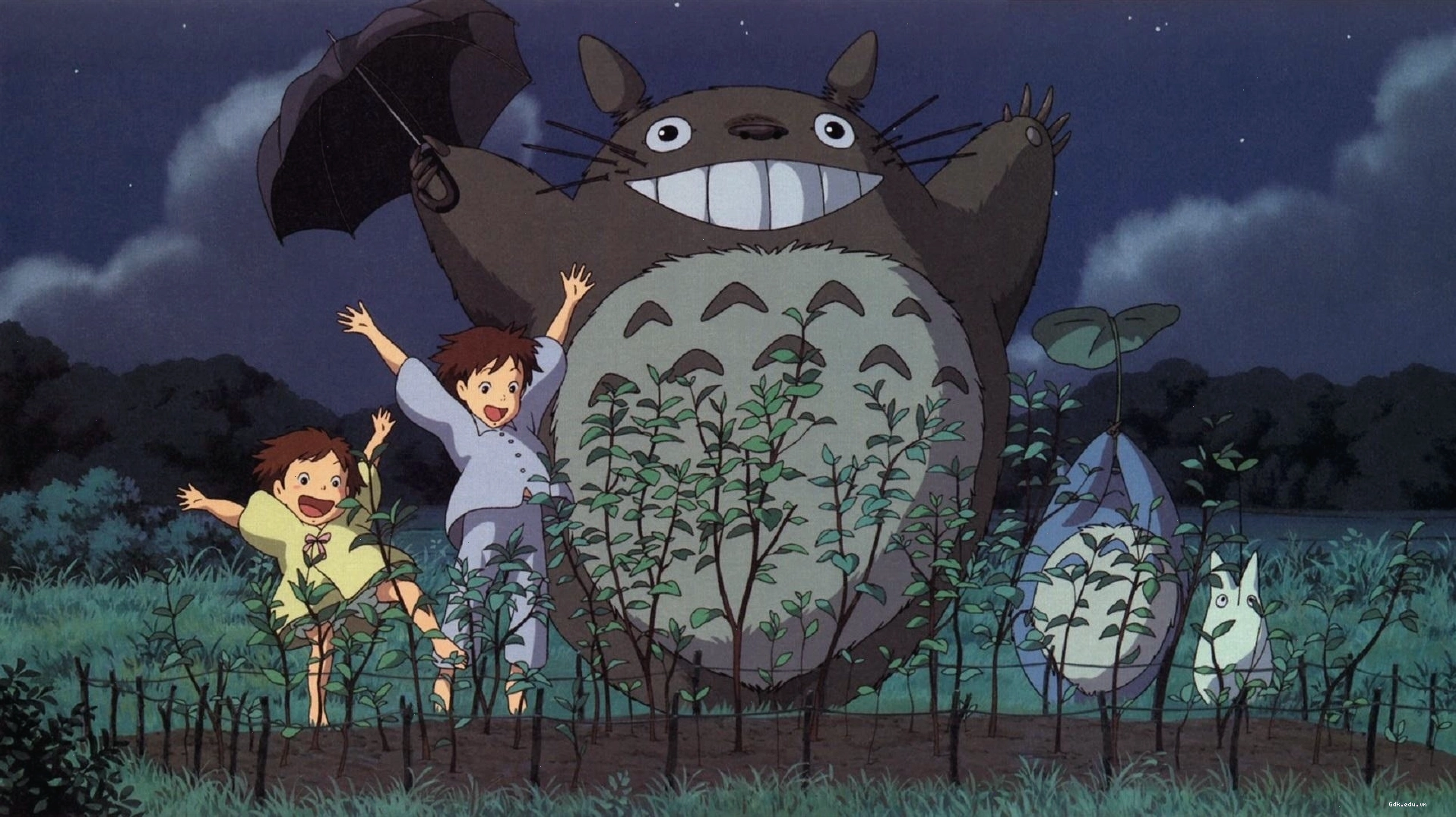 My Neighbor Totoro HD Wallpaperx1080 cho chất lượng hình ảnh cao