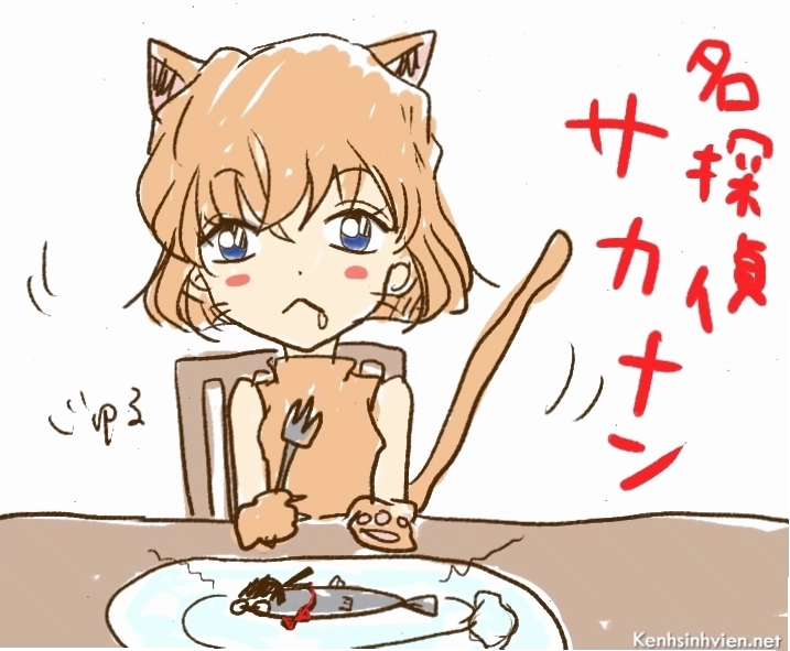 Nhiều phiên bản Conan Chibi khác nhau
