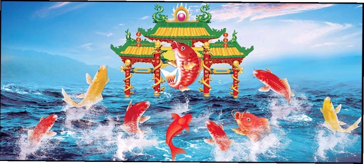 Thiết kế hình nền cá chép vượt vũ môn theo phong cách đồ họa hiện đại