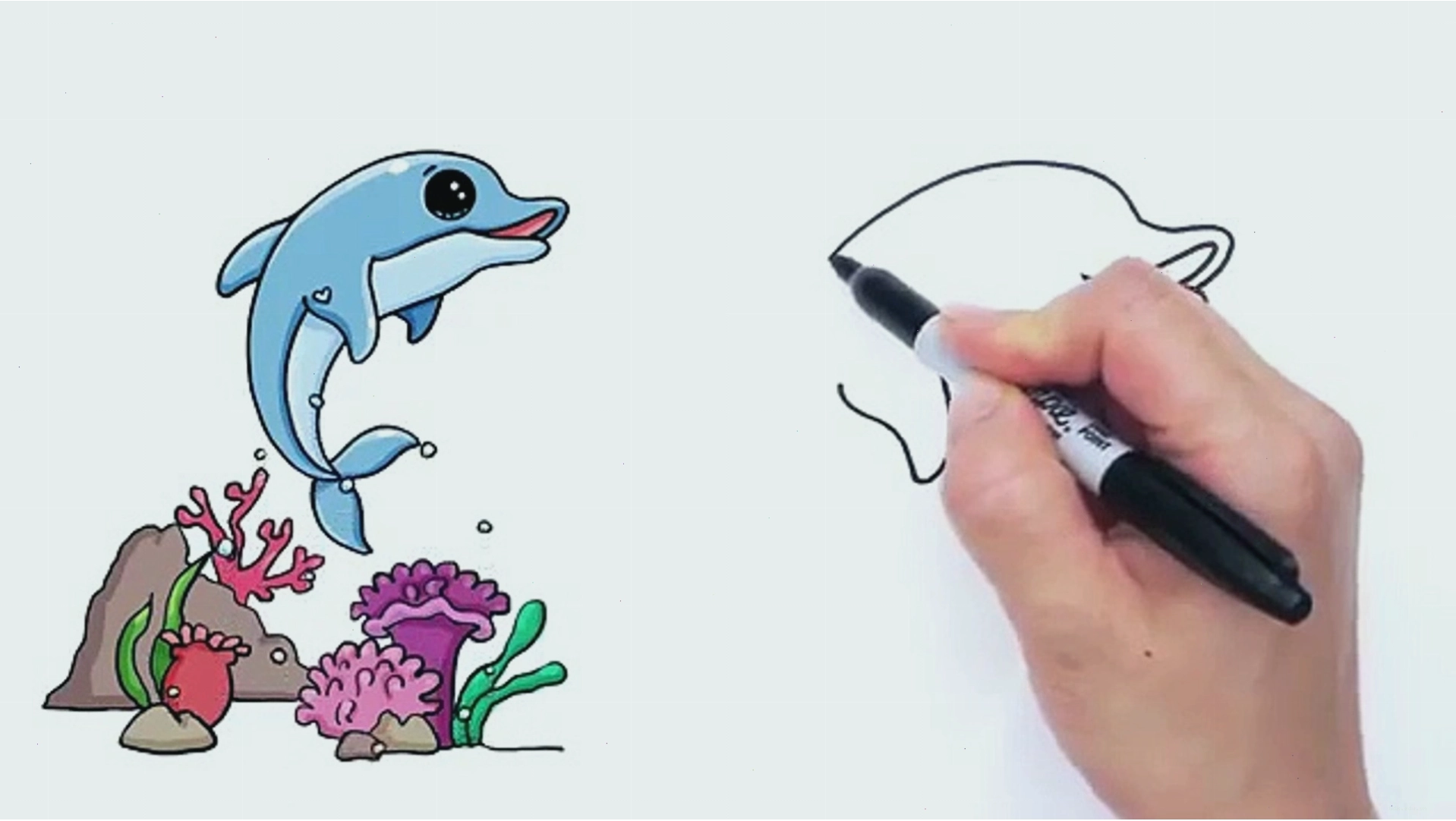 Vẽ cá heo hoạt hình dễ thương