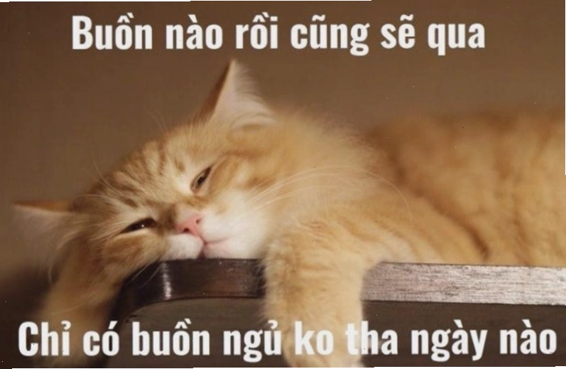 Ý nghĩa của meme chúc ngủ ngon