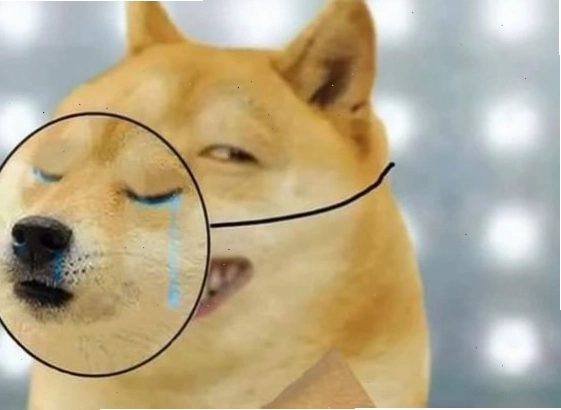 tong hop anh meme hot nhat mang xa hoi