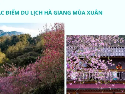 Kinh nghiệm du lịch Hà Giang mùa xuân ngắm hoa cực đẹp
