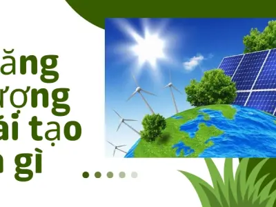 Năng lượng tái tạo – Giải pháp bền vững cho tương lai xanh sạch