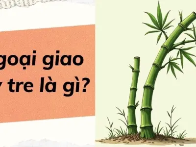 Ngoại giao cây tre là gì? Sức mạnh linh hoạt của Việt Nam