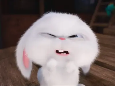 Bộ sưu tập 75+ ảnh thỏ snowball meme siêu bựa để comment