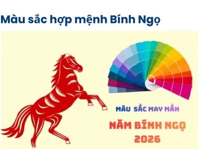 Xem tử vi Bính Ngọ 2026- Bí quyết giúp mọi việc thuận lợi nhất